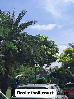 VIPS Campus photo 20